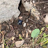 В Саратове поймали 18-летнего закладчика синтетики